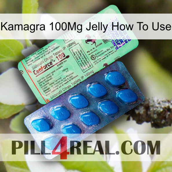 Kamagra 100Mg Jelly How To Use new02.jpg